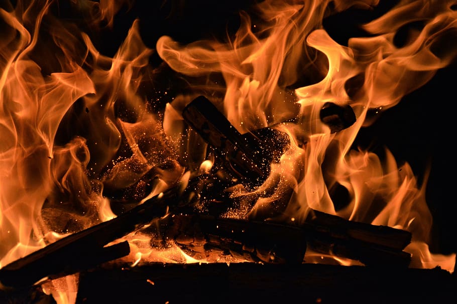 low light photography of orange flame, fire, spark, wood, cracking HD wallpaper