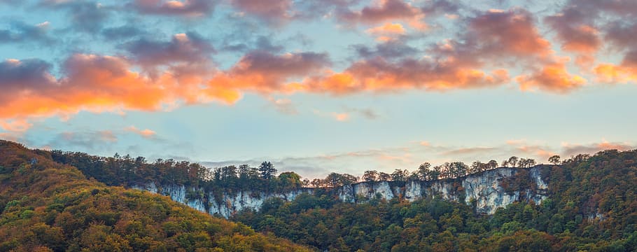 green plants covered mountain, landscape, forest, mountains HD wallpaper