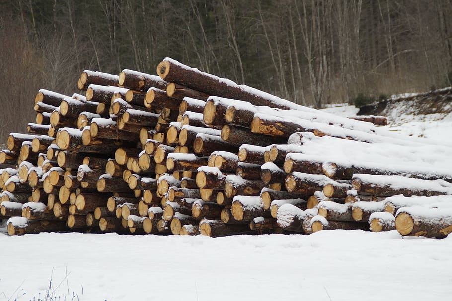holzstapel, tree trunks, strains, log, stacked up, snowy, forest HD wallpaper