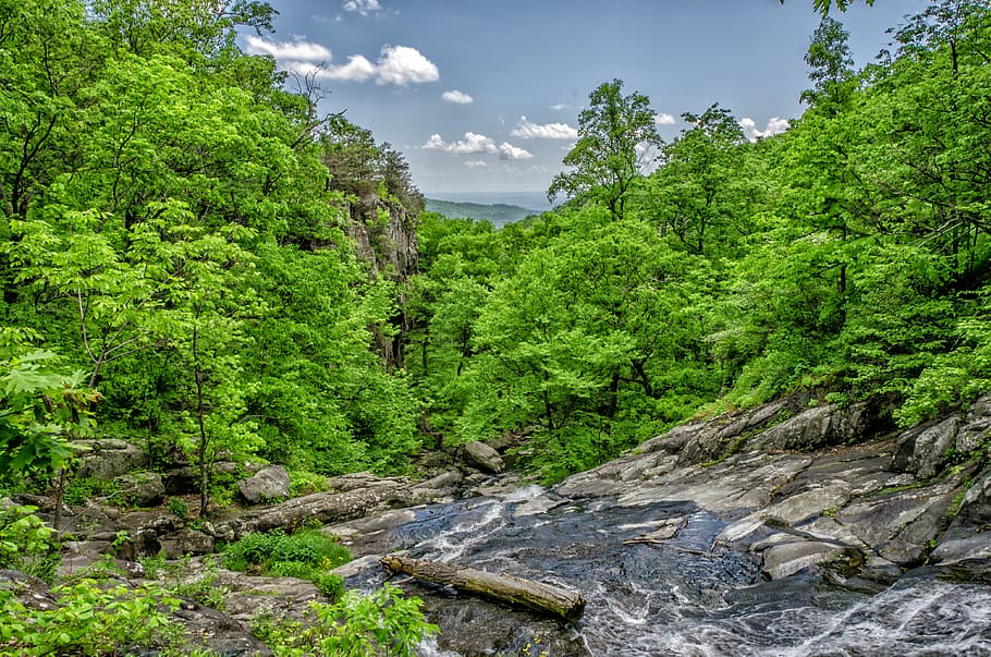 water stream surrounded with trees at daytime, river, mountains HD wallpaper