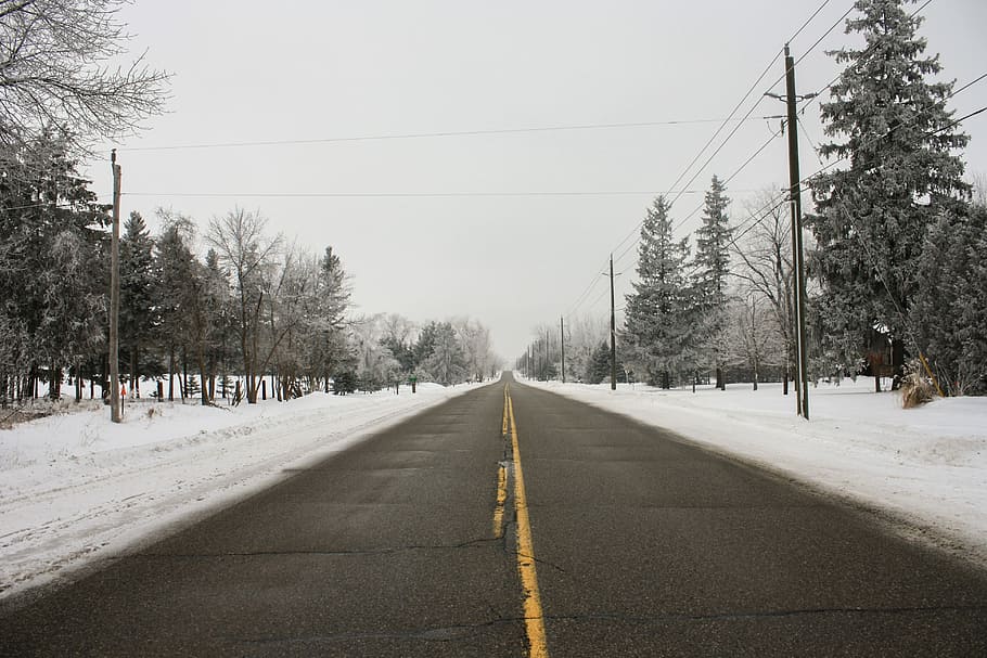 road between trees, Winter, Snow, Cold, Travel, highway, pavement HD wallpaper