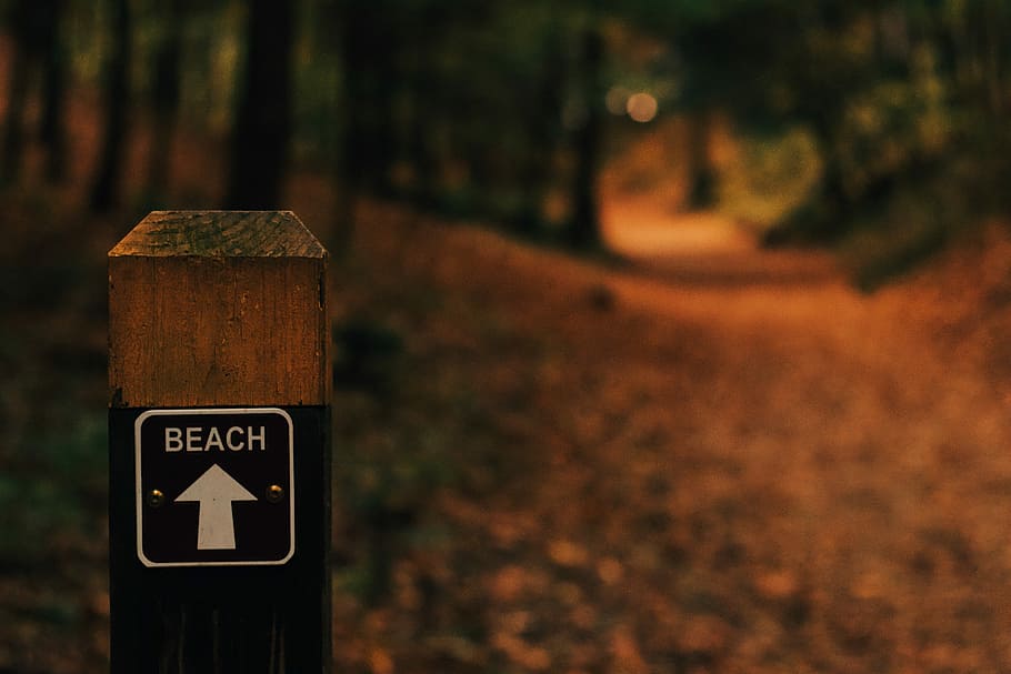 selective focus photography of Beach direction signage, selective focus photography of wooden Beach signage HD wallpaper