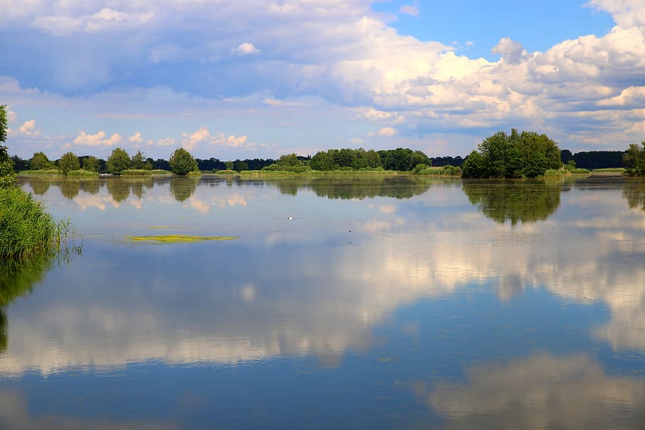 lake, pond, water, tree, forest, nature, vegetation, scrubs HD wallpaper
