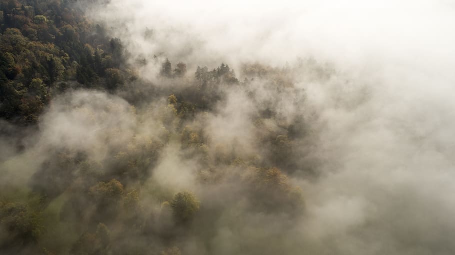 green forest mountain with fog, above the clouds, thunderstorm