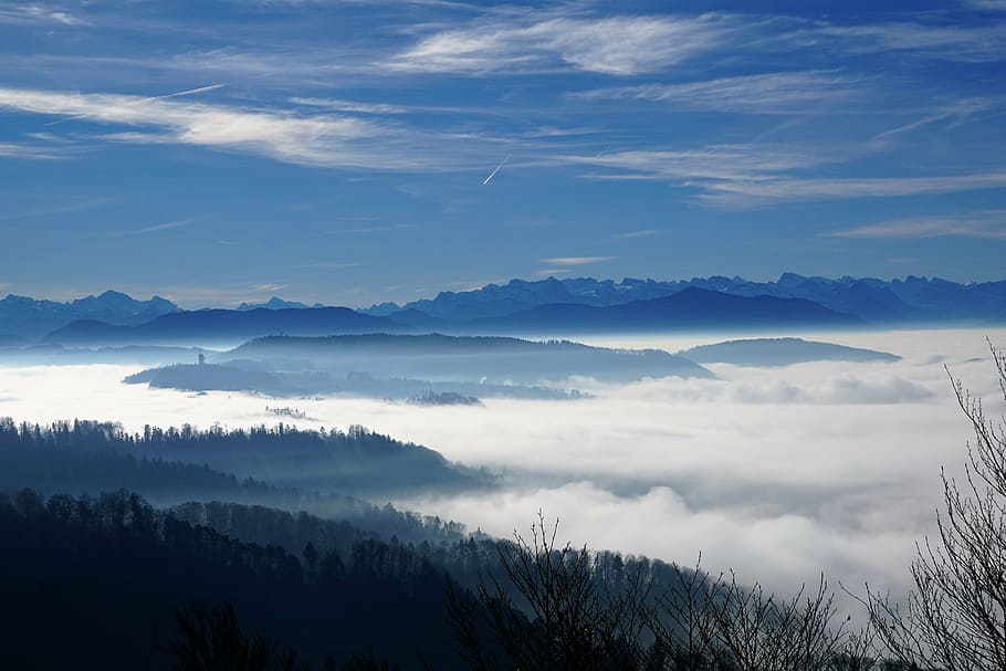 fog, sky, nature, trees, winter, autumn, mood, landscape, sun HD wallpaper