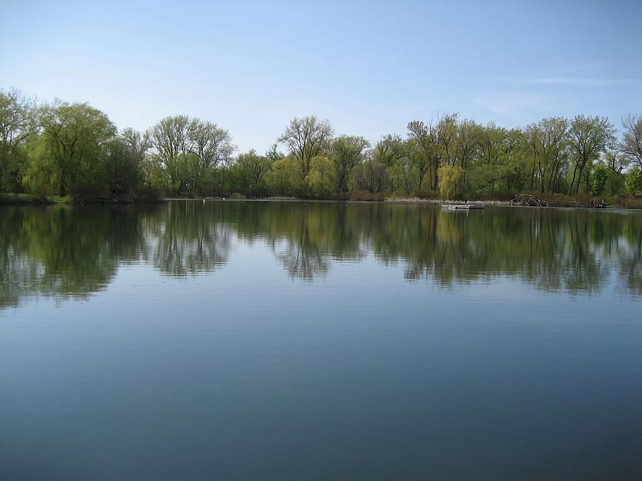 lake, trees, reflection, forest, park, outdoor, tranquil, pond HD wallpaper