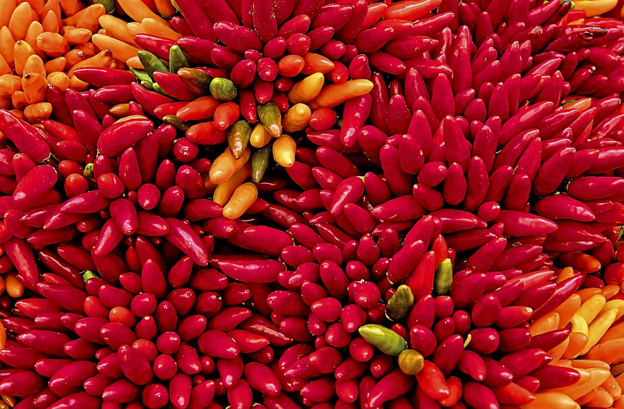 yellow and red chilis, red plant, chilli, peppers, orange, food HD wallpaper