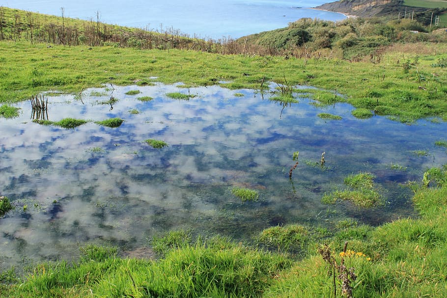 reflection, clouds, dorset, coast, nature, pool, jurassic, plant HD wallpaper