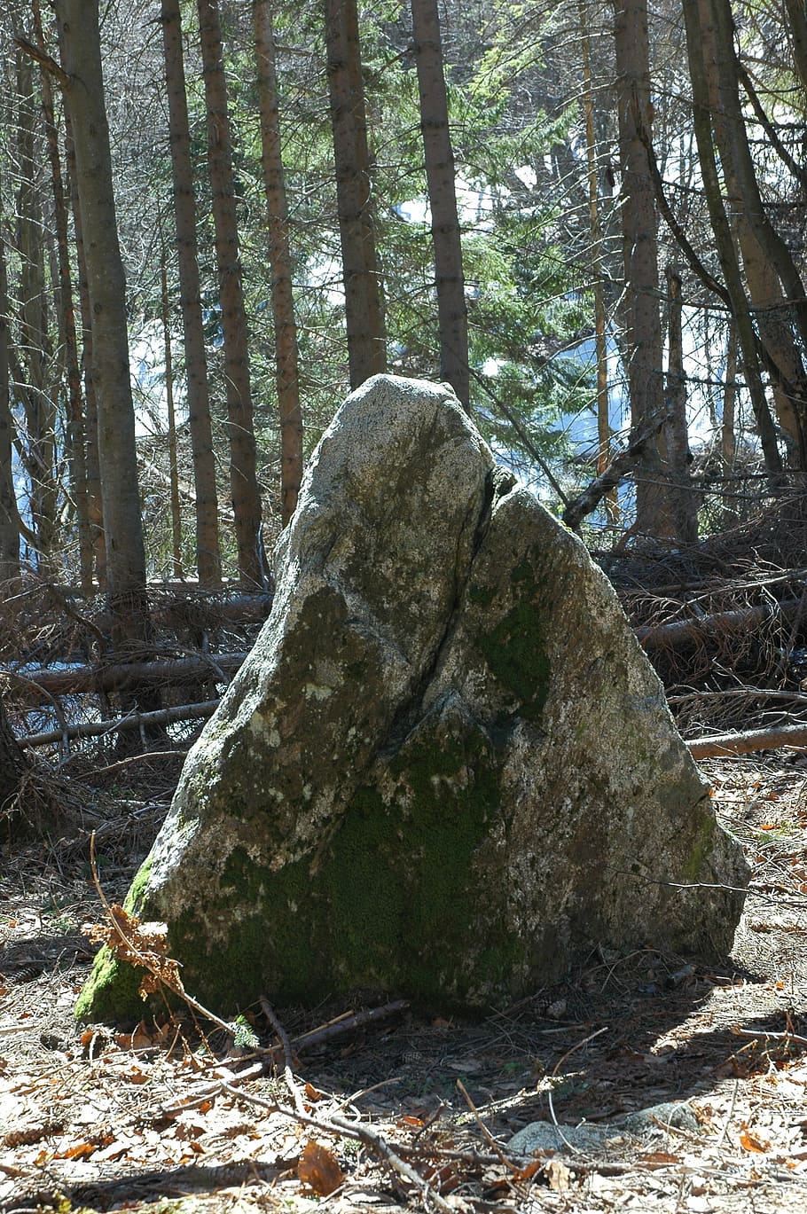 stone, magic, triangle, forest, tree, land, plant, tree trunk HD wallpaper