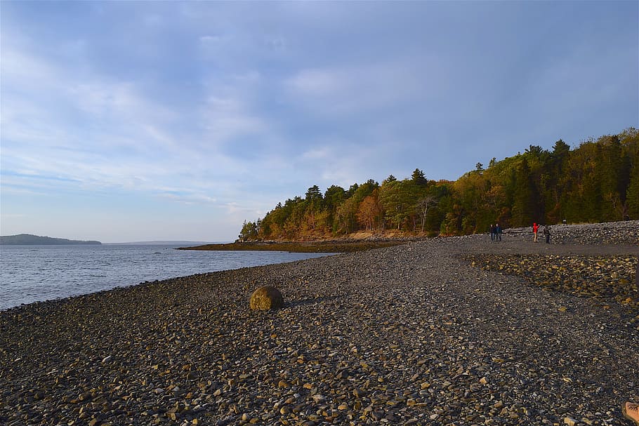sunset, shore, rocks, ocean, pine trees, maine, nature, water HD wallpaper