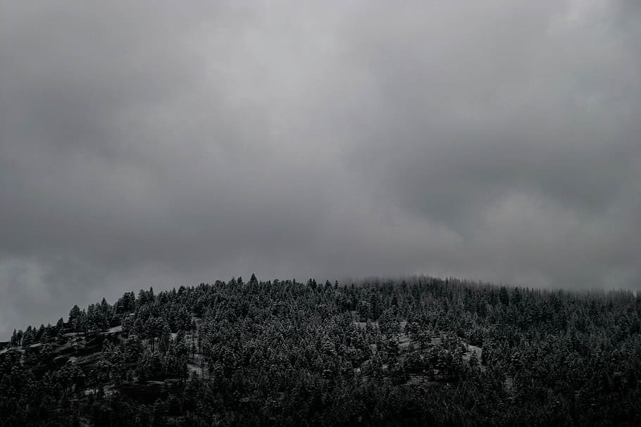 photo of mountain covered with trees, forest mountain under white clouds HD wallpaper
