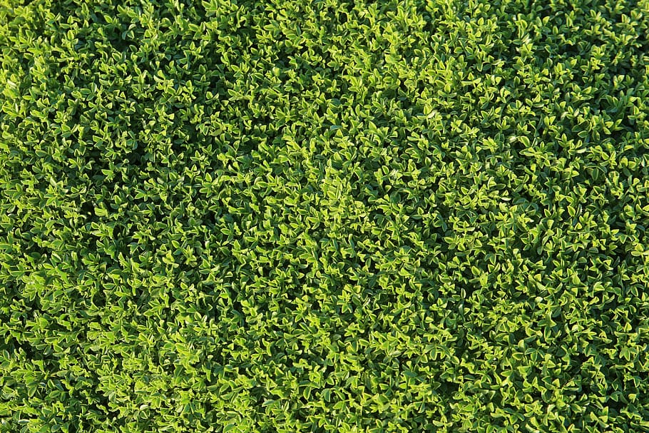 green, background, backgrounds, structure, abstract, bright HD wallpaper