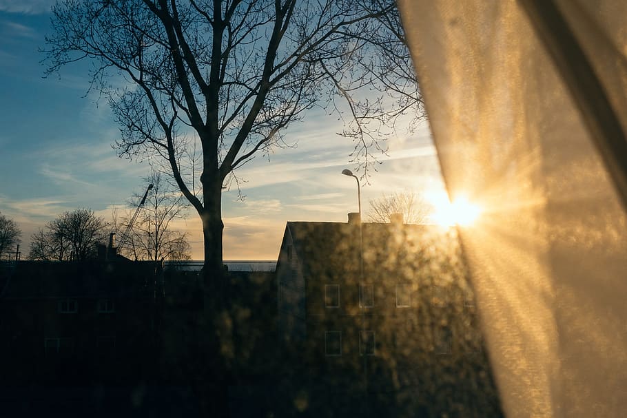 Sunlight through dirty window, concepts And Ideas, other, nature HD wallpaper