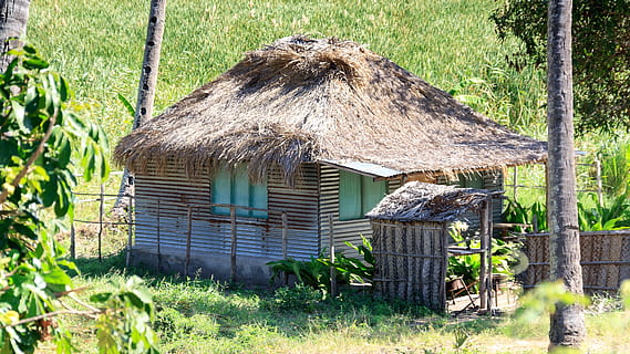 hut, poor, overview, thatched roofs, mozambique, africa, plant HD wallpaper
