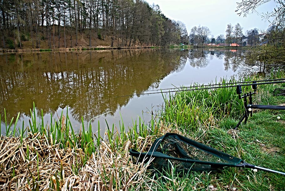 fishing, pond, reflection, surface, edge of the pond, ledenice HD wallpaper