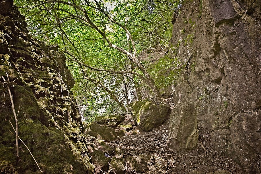 caves, path, ferncliff, scenery, trees, artistic, art print HD wallpaper