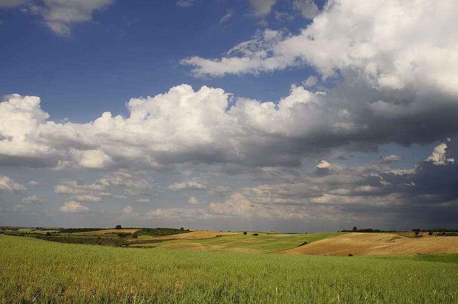 landscape, clouds, field, sky, nature, blue, cloud background HD wallpaper
