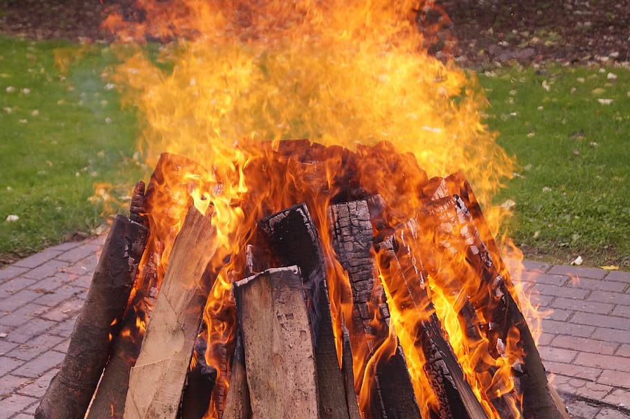 fire, hot, wood, beech wood, potato fire, potato roast, sauerland