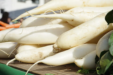 selective focus photo of radish, radishes, raphanus, white HD wallpaper