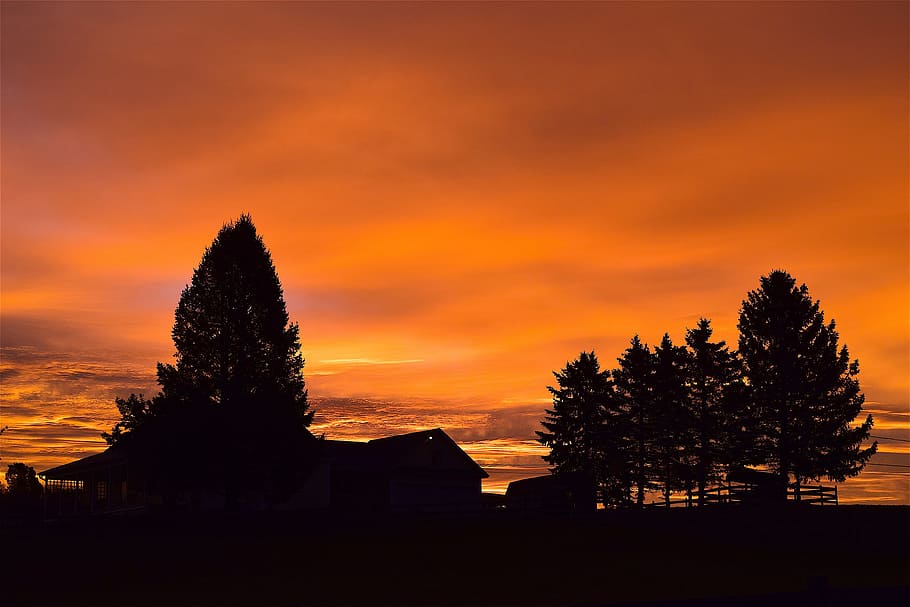 sunrise, sky, silhouette, trees, clouds, dawn, mountain, nature HD wallpaper