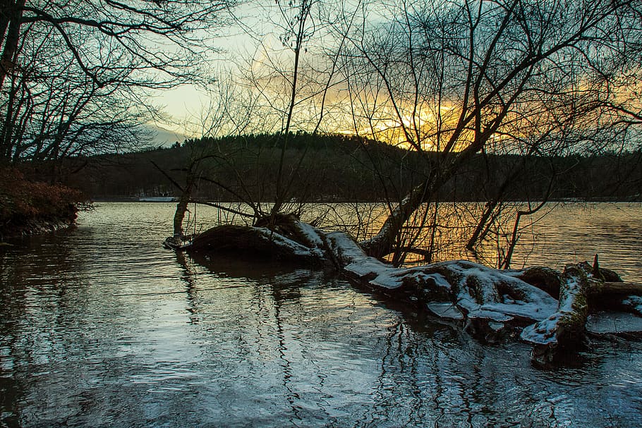 waters, river, nature, reflection, lake, tree, bare tree, tranquility HD wallpaper