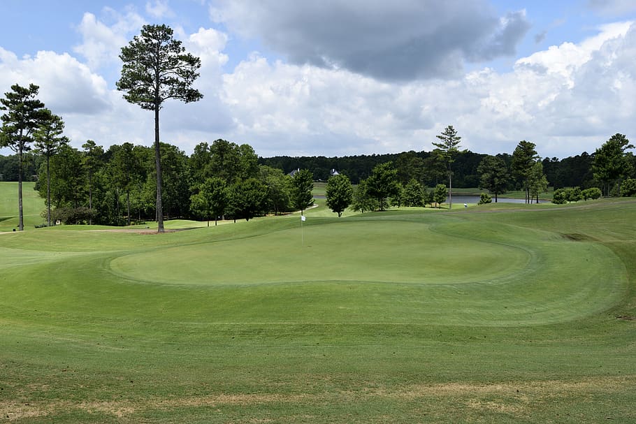golf, grass, course, fairway, putt, tee, golfer, hole, nature HD wallpaper