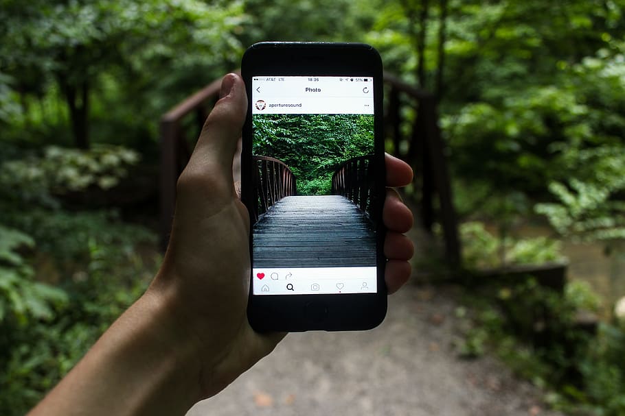 person holding smartphone showing bridge near trees, gadget HD wallpaper