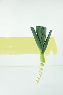 closeup photo of sliced spring onion, photo of sliced Scallion HD wallpaper