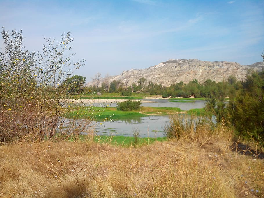 ebro, nature, landscape, spain, summer, river, the castelar HD wallpaper