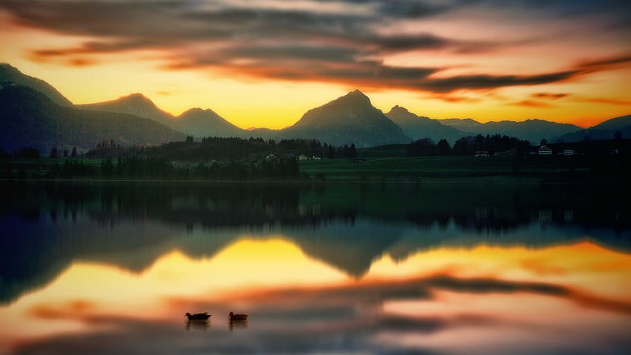 sunset, dawn, waters, panorama, nature, lake, ducks, mirroring HD wallpaper