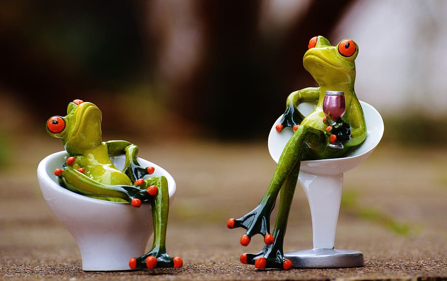 frog, chair, cozy, for two, drink, wine, cute, sweet, funny, HD wallpaper