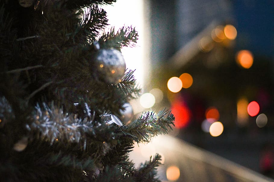 Shine, green Christmas tree with gray bauble in focus photography HD wallpaper