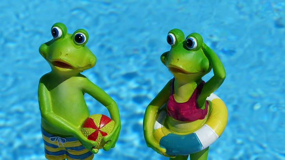 two green frog near body of water figurines, summer, decorative items HD wallpaper