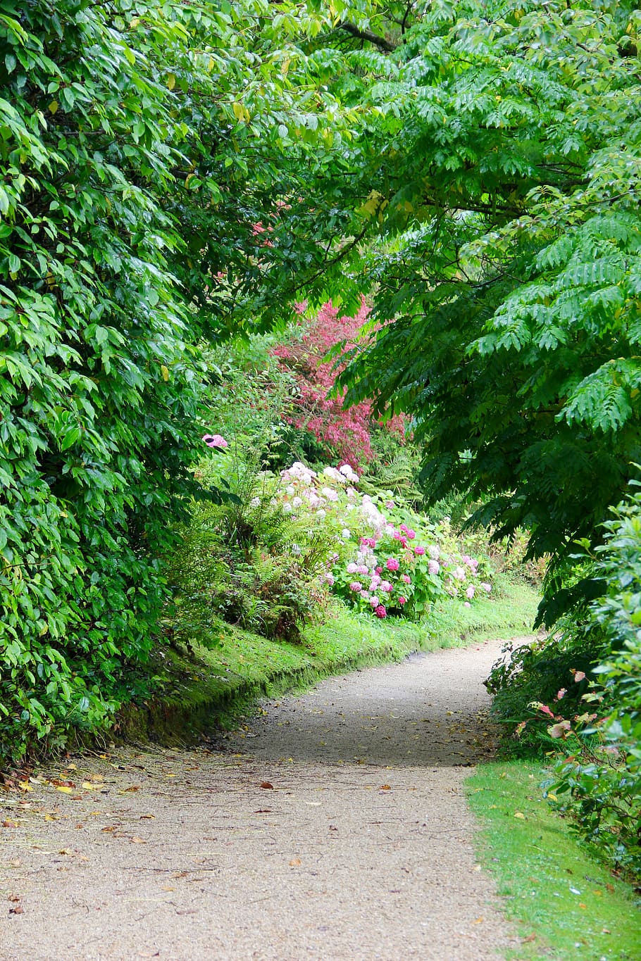 path, walkway, pathway, garden, footpath, natural, landscaping HD wallpaper