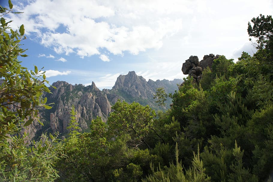 Corsican, Mountain, Tree, Nature, Maquis, island of beauty HD wallpaper