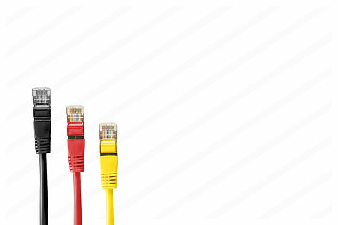 black, red, and yellow RJ45 cables, network cables, plug, patch HD wallpaper