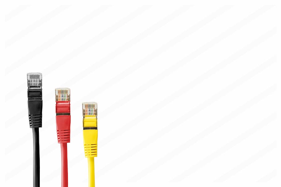 black, red, and yellow RJ45 cables, network cables, plug, patch HD wallpaper