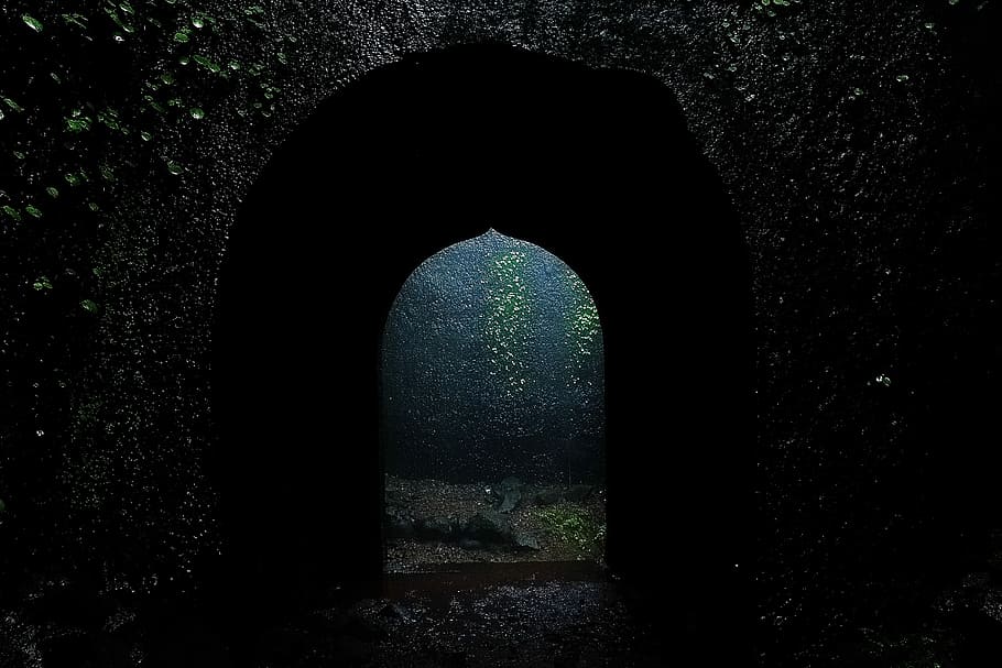 pathway with green leafed plant, Fort, Door, Monsoon, arch HD wallpaper