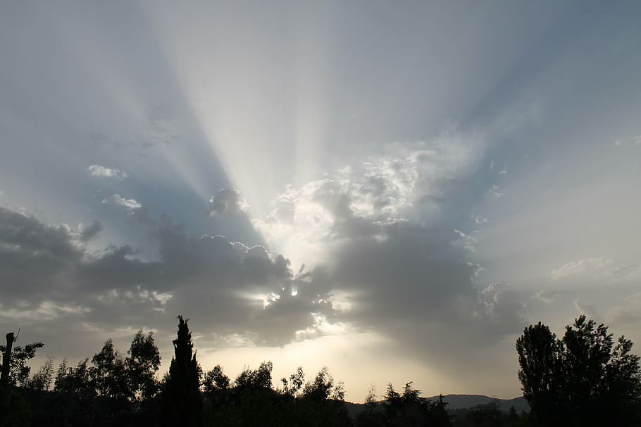 dawn, landscapes, backlight, tree, sky, plant, cloud - sky HD wallpaper