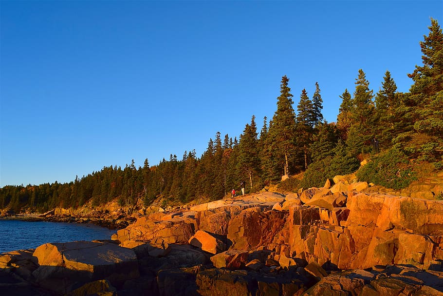 sunset, trees, rocks, pine trees, maine, nature, landscape HD wallpaper