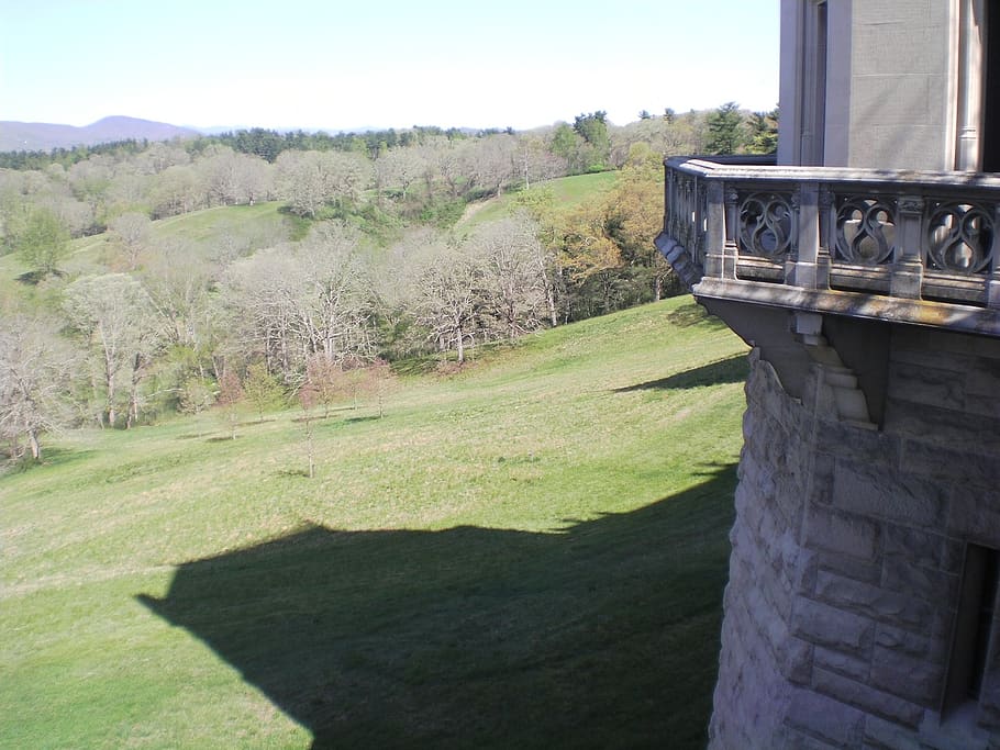 biltmore, view, nature, plant, day, sunlight, no people, tree HD wallpaper