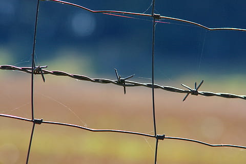 barbed wire, wiring, security, thorn, fence, demarcation, limit HD wallpaper