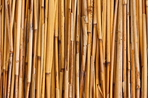 brown bamboo stick lot, fence, abstract, asian, background HD wallpaper