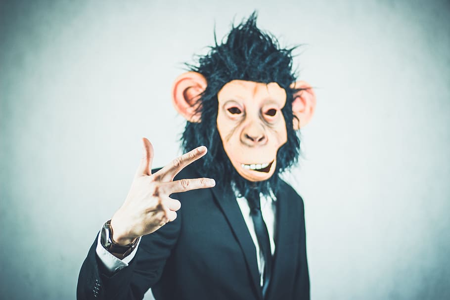 man wearing monkey mask, application, training, business, portrait HD wallpaper