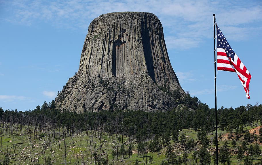 devils tower, wyoming, outdoors, mountain, nature, usa, plant HD wallpaper