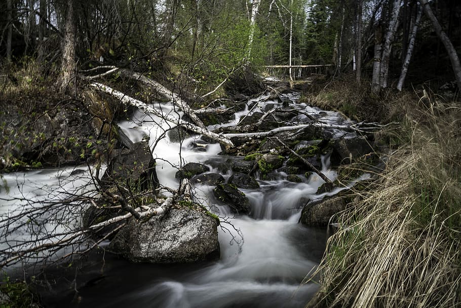 Cascading Rapids through the brook and forest on the Ingraham Trail HD wallpaper