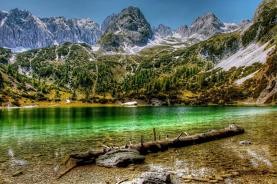 cold, snow, wood, landscape, adventure, alpine, hdr, lake, log HD wallpaper