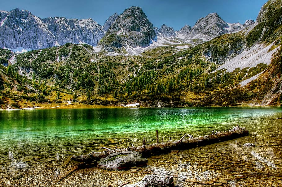 green river beside forest near mountain range, seebensee, tyrol HD wallpaper
