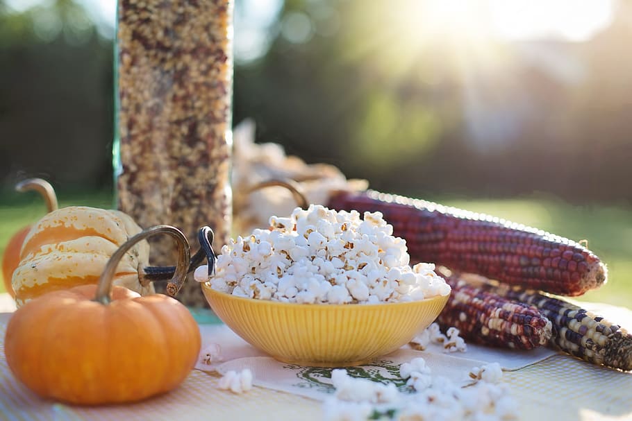 popcorn in the yellow bowl, autumn, fall, maize, harvest, pumpkin HD wallpaper