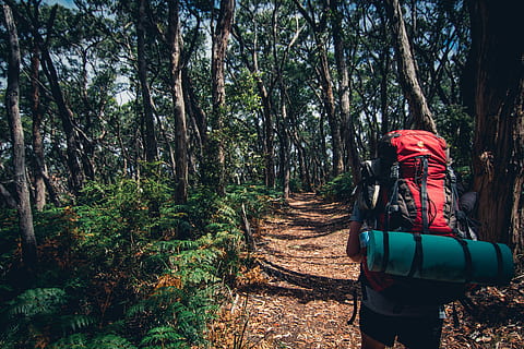 man carrying red and black camping backpack, path, portrait HD wallpaper